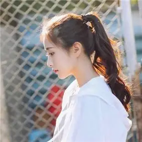 蜘蛛池在自动化站群系统中的角色